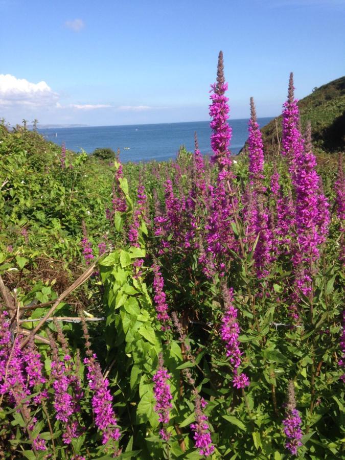 Kerryanna Country House Bed And Breakfast Mevagissey Exteriör bild